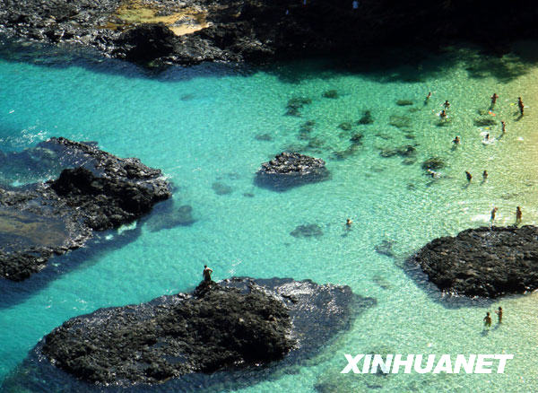 尔南多—迪诺罗尼亚岛冰球突破技巧美丽的费